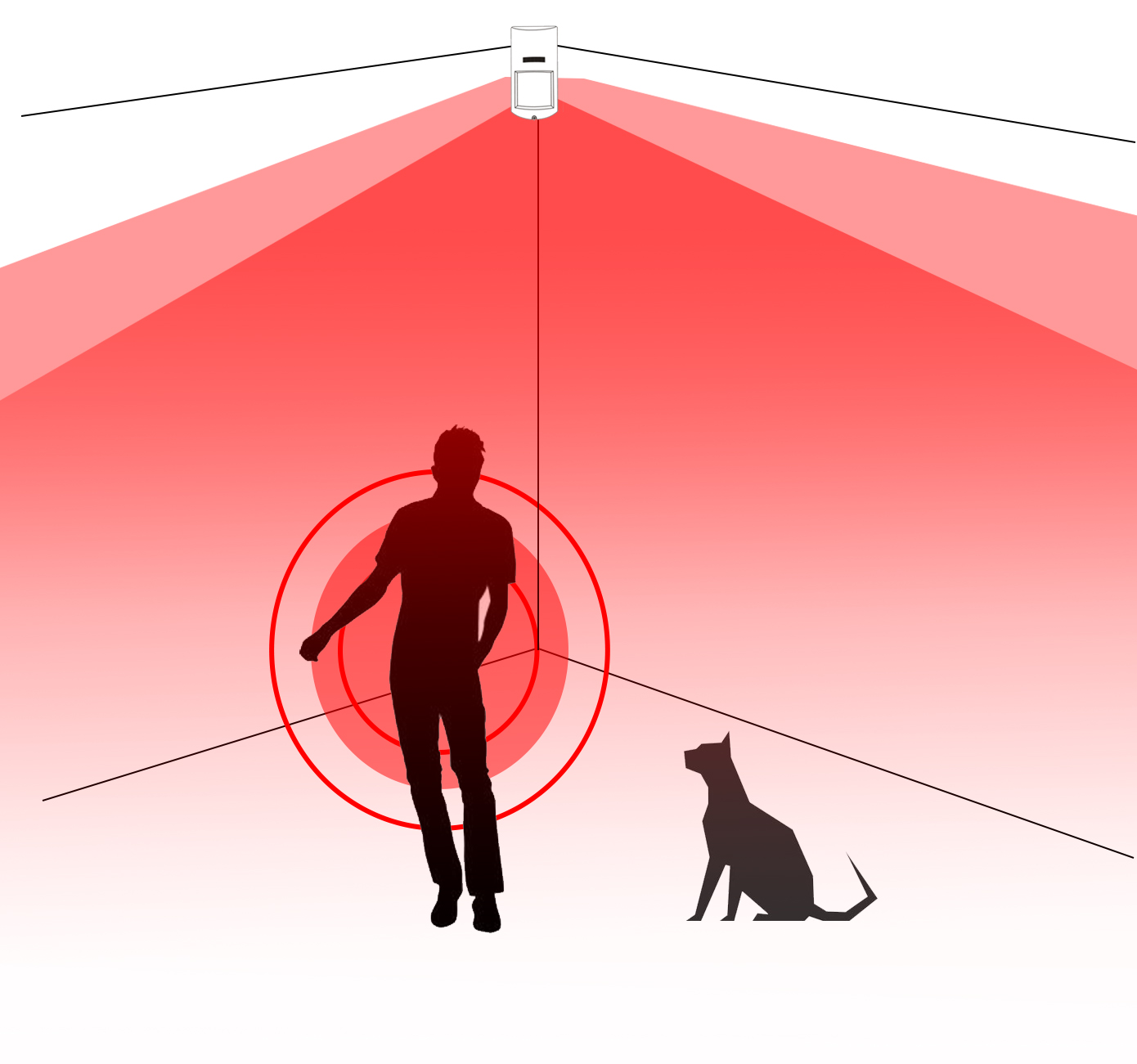 红外微波三鉴探测器数字防宠.jpg 红外微波三鉴探测器数字防宠.jpg